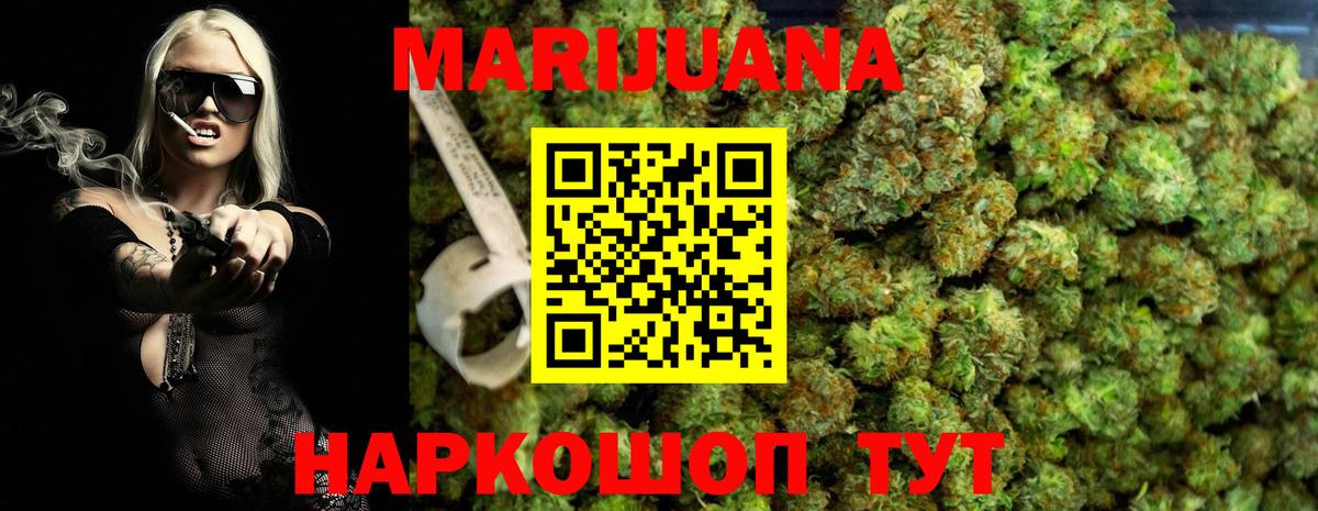 Канабис OG Kush Гатчина